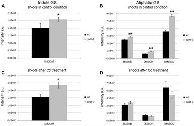 The Arabidopsis thaliana Knockout Mutant for Phytochelatin Synthase1 (cad1-3) Is Defective in Callose Deposition, Bacterial Pathogen Defense and Auxin Content, But Shows an Increased Stem Lignification